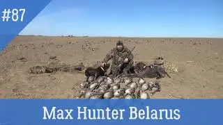 №101 Охота на гуся 2021 скоро. Лучшие налёты одной охоты. The best raids of a single geese hunt.