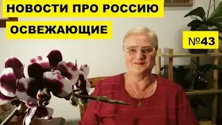 ОСВЕЖАЮЩИЕ НОВОСТИ ПРО РОССИЮ..ВЫПУСК №43..МЕНЮ ОБНОВЛЁННОГО МАКДОНАЛЬДСА