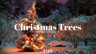 Christmas Trees Fhd video @4kuhdvideos722