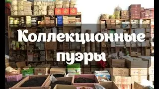 Говорим про Коллекционные Пуэры. Ценообразование. Чайное состояние. Рынок пуэров.