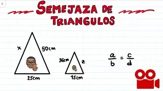 🤜 Aprende a hallar los valores desconocidos en ejercicios de semejanza de triángulos - SEMEJANZA