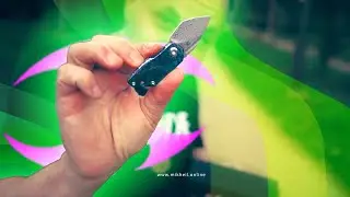პატარა რიო და დიდი იდეები