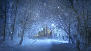 Прекрасный зимний вечер и звук метели. /Звуки для сна и отдыха /美妙的冬夜和暴风雪的声音