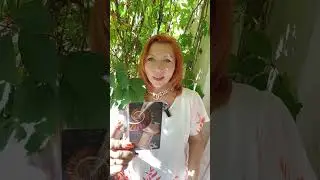 Карта дня на сегодня. Если вы видите этот расклад, значит он для вас. 