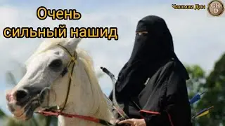 нашид очень сильно