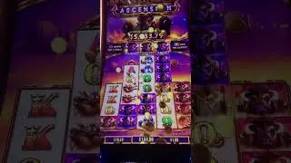 💥💥BUFFALO ASCENSION STAMPEDE WINS!!!💥💥 