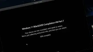 Windows 11 B(lack)SOD Compilation VM Part 7