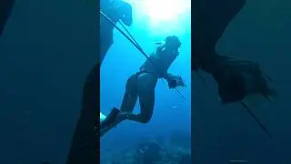 I should have listened! Spearfishing fail.