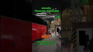 ташкент-краснодар автобус 