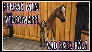 Rensar min videomapp!