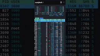 Kali Nethunter Status #hacker #kalilinux #androidhacking