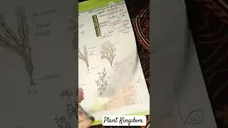 PLANT KINGDOM class-11 imp.underline #neet2024biology #neetexam #shorts #viralshorts #shortvideo