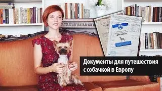 Documents for traveling to Europe with your dog / Woof travel — road trips with a dog