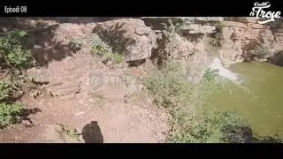 Shkoni bashkë me 