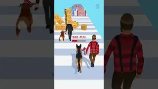 Funny Dog Walkers