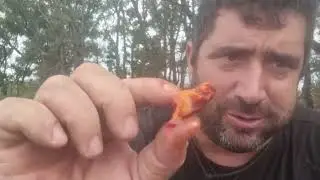 objetivos cumplidos