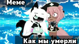Парашют не раскрылся~ МЕМЕ