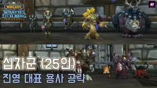 [리치왕의분노] 십자군25인하드 | 진영 대표 용사  | 네임드 공략