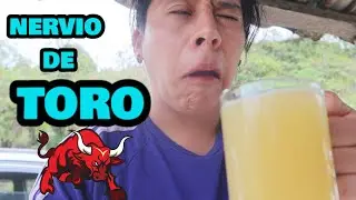 PROBE EL NERVIO DEL TORO/me puse c@liente | Edis Vlogs