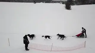 Ездовой спорт Чемпионат