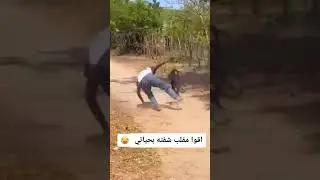 أقوي مقلب ممكن تشوفه في حياتك