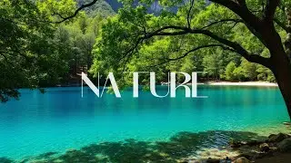 Sound of Nature  Instrumental for peace and stress relief