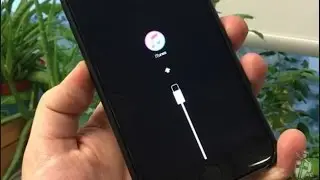 How to Fix iOS Stuck on Verifying Update on iPhone