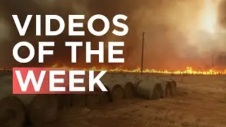 From police clashing with a far-right mob in Brussels to wildfire in Kansas | Newzulu