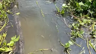 এলাকার মধ্যে যখন পানির রাস্তা পার হই। তখন কি অবস্থা হয়,,😁। #shahinahmedroky