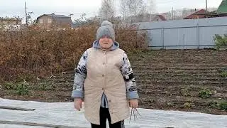 Закрываем клубнику на зиму укрывным материалом.