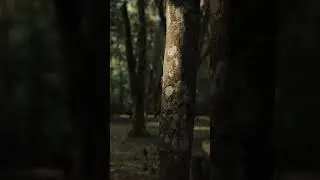 Comenta para subir el resultado final de esta sesion fotografica de cosplay 📸