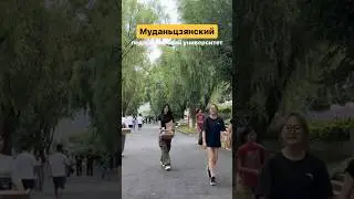 Учеба в Китае🇨🇳Муданьцзянский педагогический университет 