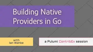 Building Native Providers in GoLang | ContribEx