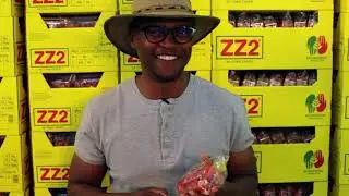 Miles of Freshness Ep 2