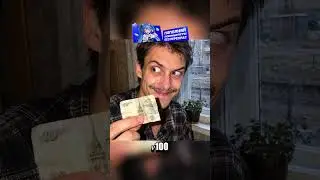 как коты захватили двор от Алкашей...