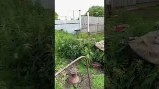 Деревня Новый Татарский Адам, Аксубаевский район. На этом месте стоял дом Шаяздан бабая.