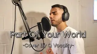 Part Of Your World -Disney's The Little Mermaid- (Male Cover By Q Vocality)