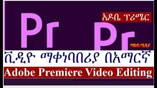 adobe primer video editing for beginners   ||  አዶቤ ፕሪሜር ቪድዮ አሰራር ለጀማሪዎች