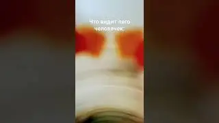 что видит лего человечек 