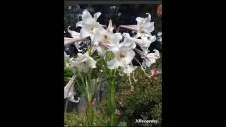 0190