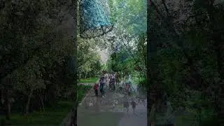 моменты