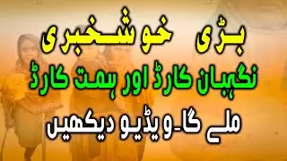 How Can You Get a 12000 Maryam Nawaz Nigehban Card & Himat Card