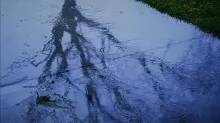 Spring 🌧️Rain🌧️ Soothing & Gentle | 10 Hours for Relaxation and Sleep