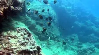 Pilaa Reef