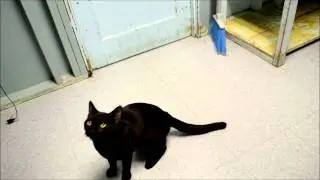 Adopted! Alan