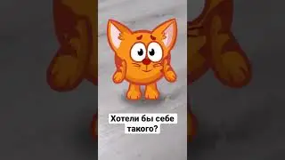 Коха у меня дома! Сластены в реальной жизни! 
