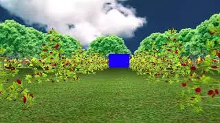 4K Motion Background Wedding Frame Blue Screen Video Effect  HD 2020