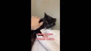 Муся, ПЕРВОЕ ВИДЕО утро 15.05.24