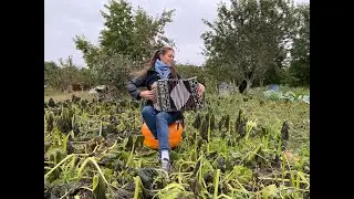 Впервые в эфире!!!