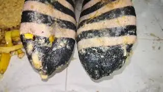 Dirty Striped Socks footrest